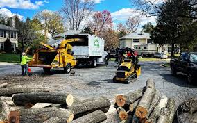 Best Storm Damage Tree Cleanup  in Glen Head, NY